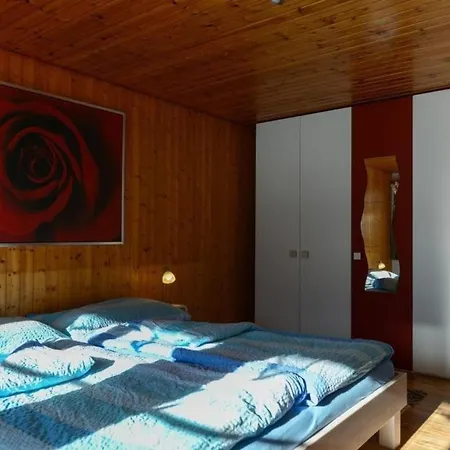 Chalet Burgstein, Silberdistel Daire *