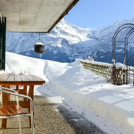 Chalet Burgstein, Silberdistel Grindelwald