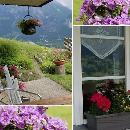 Daire Chalet Burgstein, Silberdistel